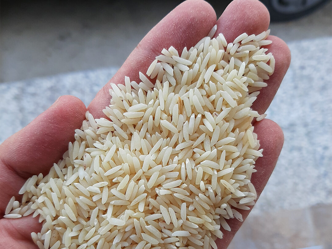 فروش برنج در بهشهر