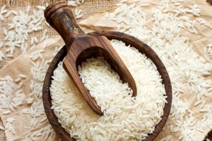 فروش برنج در نوشهر